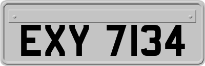 EXY7134