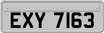 EXY7163