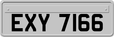 EXY7166
