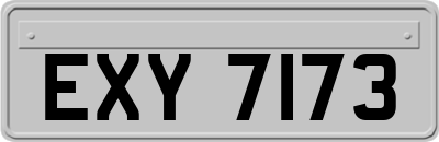 EXY7173
