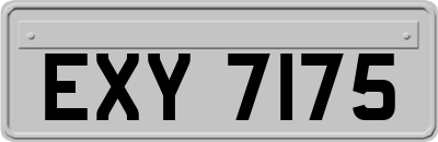 EXY7175