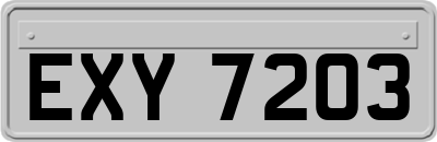 EXY7203