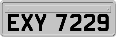 EXY7229