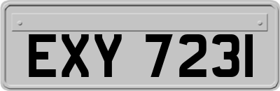 EXY7231