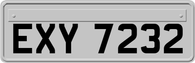EXY7232