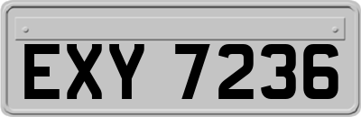 EXY7236