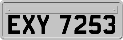 EXY7253