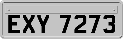 EXY7273