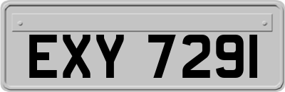 EXY7291