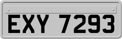 EXY7293