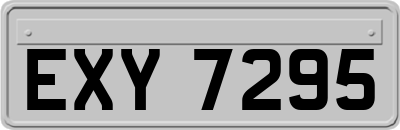EXY7295