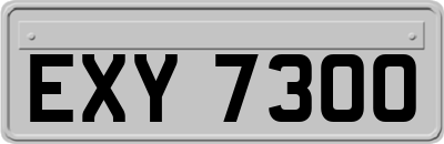 EXY7300