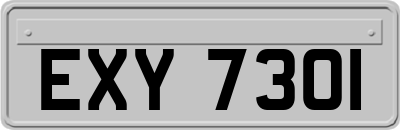 EXY7301