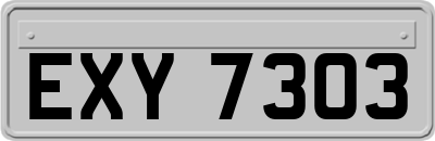 EXY7303