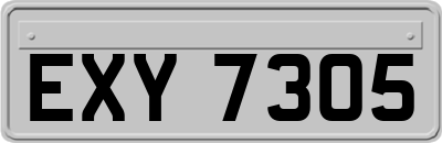 EXY7305