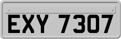 EXY7307