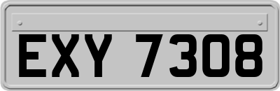 EXY7308