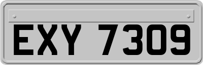 EXY7309