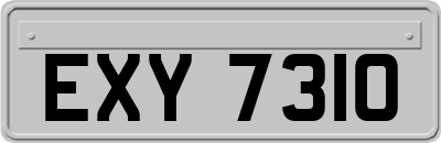 EXY7310