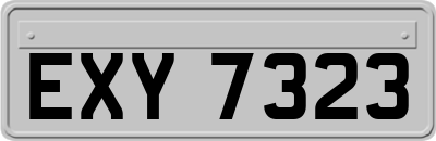 EXY7323