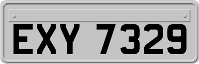 EXY7329