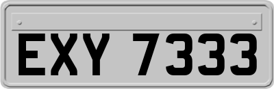 EXY7333