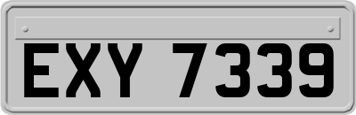 EXY7339
