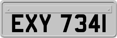 EXY7341