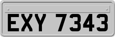 EXY7343