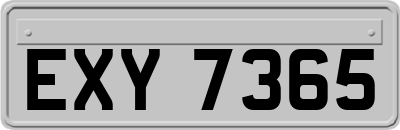 EXY7365