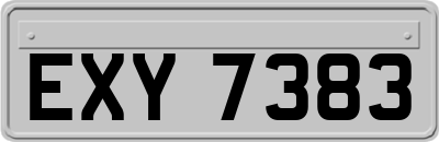 EXY7383