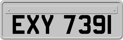 EXY7391