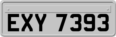 EXY7393