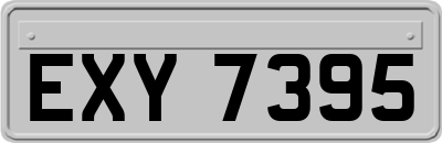 EXY7395