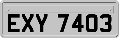 EXY7403