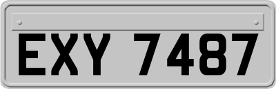 EXY7487