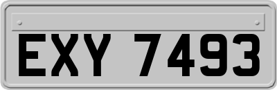 EXY7493