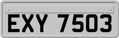EXY7503