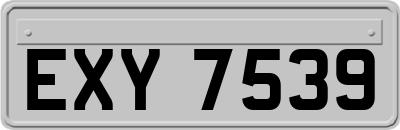 EXY7539