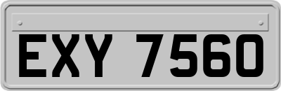 EXY7560