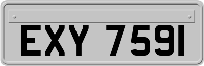 EXY7591