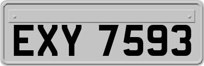 EXY7593