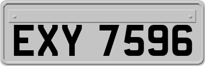 EXY7596