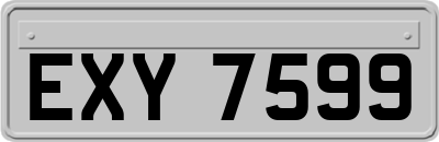 EXY7599