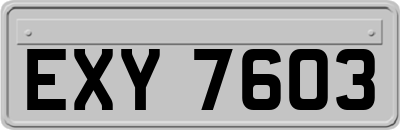 EXY7603
