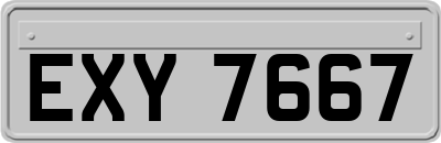 EXY7667