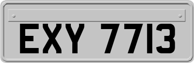 EXY7713