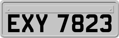 EXY7823