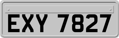 EXY7827