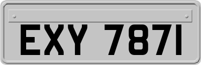 EXY7871